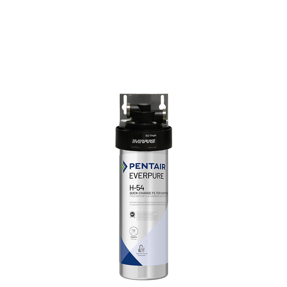 Everpure H-54 Water Filter System