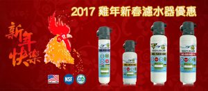 2017 Chinese new year